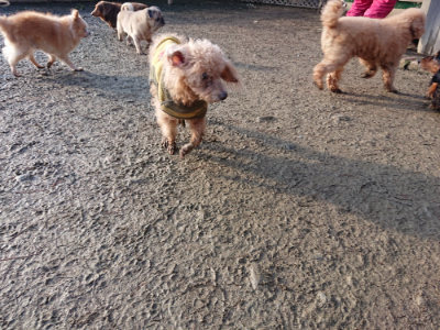 f:id:roukenhome-ann:20190207084809j:plain