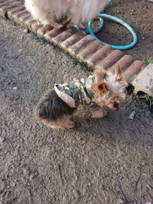 f:id:roukenhome-ann:20190207084827j:plain
