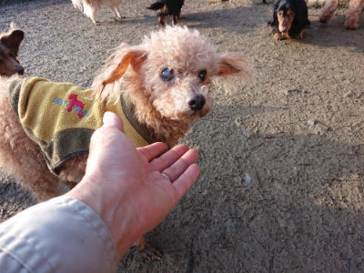 f:id:roukenhome-ann:20190207084832j:plain