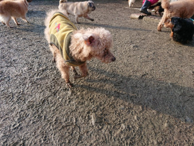 f:id:roukenhome-ann:20190207084855j:plain