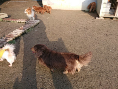 f:id:roukenhome-ann:20190207084941j:plain