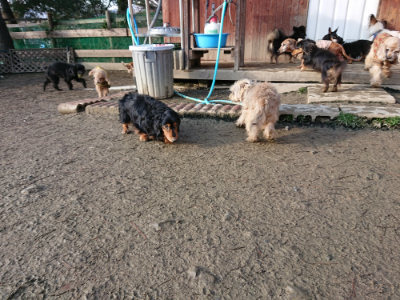 f:id:roukenhome-ann:20190207085058j:plain