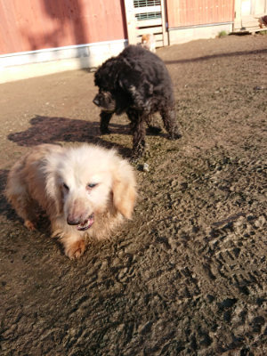 f:id:roukenhome-ann:20190207085141j:plain