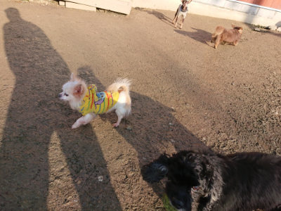f:id:roukenhome-ann:20190207085147j:plain