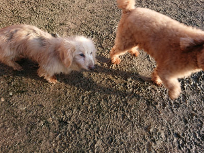 f:id:roukenhome-ann:20190207085209j:plain