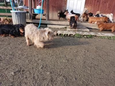 f:id:roukenhome-ann:20190207085529j:plain