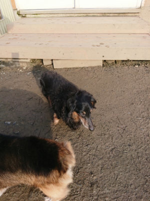f:id:roukenhome-ann:20190207085546j:plain