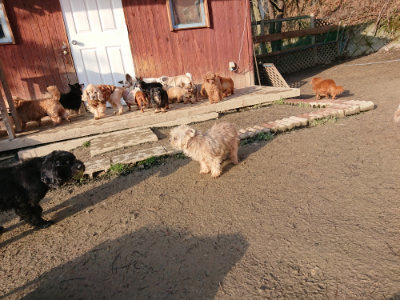 f:id:roukenhome-ann:20190207085741j:plain