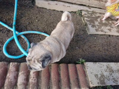 f:id:roukenhome-ann:20190207090713j:plain
