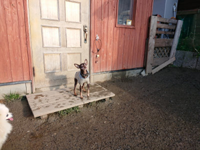 f:id:roukenhome-ann:20190207090718j:plain