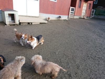 f:id:roukenhome-ann:20190207090723j:plain
