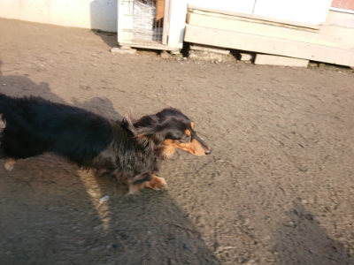 f:id:roukenhome-ann:20190207090750j:plain