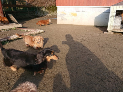 f:id:roukenhome-ann:20190207090817j:plain