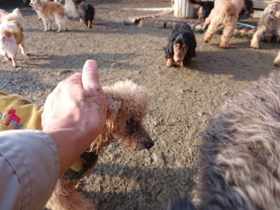 f:id:roukenhome-ann:20190207091001j:plain
