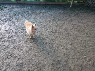 f:id:roukenhome-ann:20190207091022j:plain