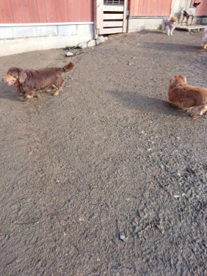 f:id:roukenhome-ann:20190207091737j:plain