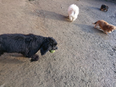 f:id:roukenhome-ann:20190207091800j:plain