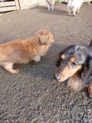 f:id:roukenhome-ann:20190207091859j:plain