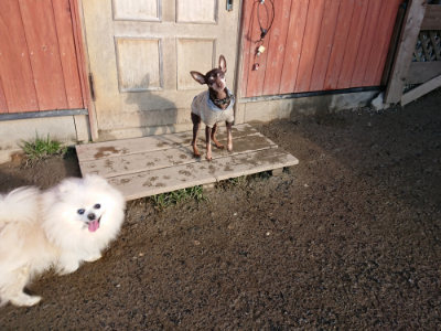 f:id:roukenhome-ann:20190207091905j:plain