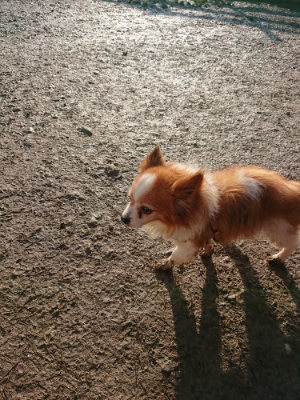 f:id:roukenhome-ann:20190207091913j:plain