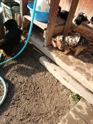 f:id:roukenhome-ann:20190207091920j:plain