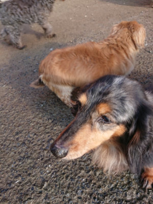 f:id:roukenhome-ann:20190207091929j:plain