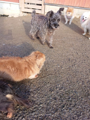 f:id:roukenhome-ann:20190207091935j:plain