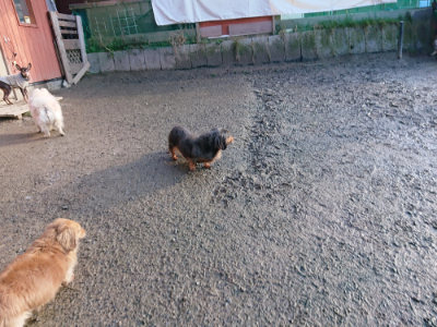 f:id:roukenhome-ann:20190207092001j:plain
