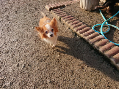 f:id:roukenhome-ann:20190207092015j:plain