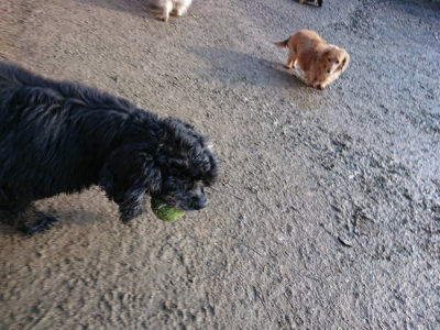 f:id:roukenhome-ann:20190207092102j:plain