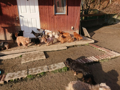 f:id:roukenhome-ann:20190207092142j:plain