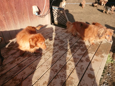 f:id:roukenhome-ann:20190207094210j:plain