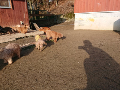 f:id:roukenhome-ann:20190207094228j:plain