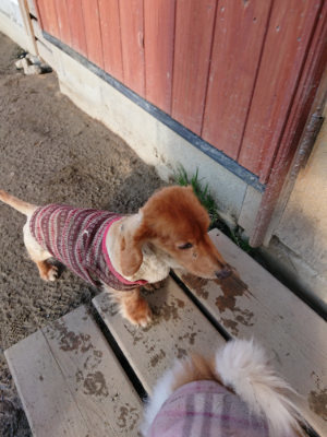 f:id:roukenhome-ann:20190207094238j:plain