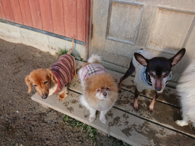f:id:roukenhome-ann:20190207094307j:plain