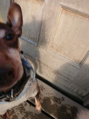 f:id:roukenhome-ann:20190207094912j:plain