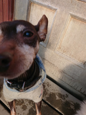 f:id:roukenhome-ann:20190207094918j:plain