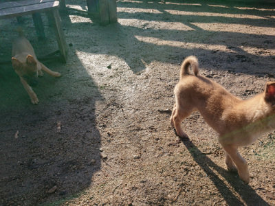 f:id:roukenhome-ann:20190207095038j:plain