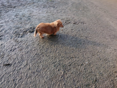 f:id:roukenhome-ann:20190207095055j:plain