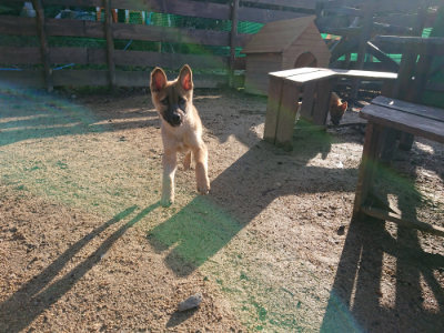 f:id:roukenhome-ann:20190207095425j:plain