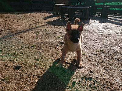 f:id:roukenhome-ann:20190207095523j:plain