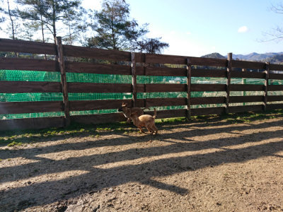 f:id:roukenhome-ann:20190207095635j:plain