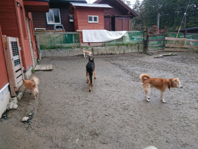 f:id:roukenhome-ann:20190208202827j:plain f:id:roukenhome-ann:20190208202827j:plain