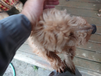 f:id:roukenhome-ann:20190208203722j:plain f:id:roukenhome-ann:20190208203722j:plain