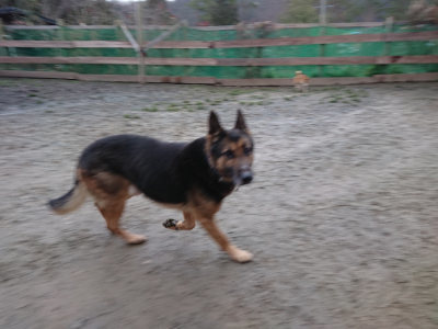 f:id:roukenhome-ann:20190208204312j:plain f:id:roukenhome-ann:20190208204312j:plain