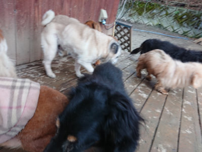 f:id:roukenhome-ann:20190208204904j:plain f:id:roukenhome-ann:20190208204904j:plain