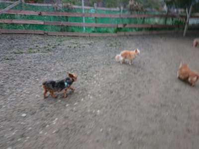 f:id:roukenhome-ann:20190210081422j:plain f:id:roukenhome-ann:20190210081422j:plain
