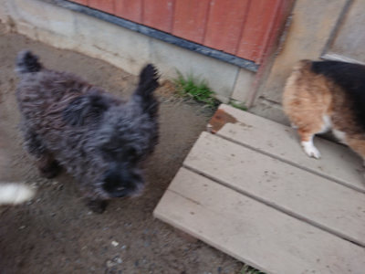 f:id:roukenhome-ann:20190210081432j:plain f:id:roukenhome-ann:20190210081432j:plain