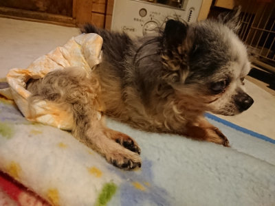 f:id:roukenhome-ann:20190210081605j:plain f:id:roukenhome-ann:20190210081605j:plain