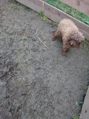 f:id:roukenhome-ann:20190210081618j:plain f:id:roukenhome-ann:20190210081618j:plain